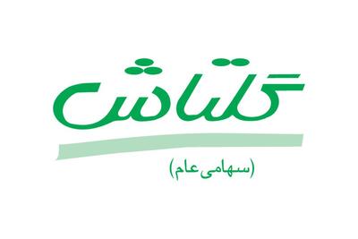 توقف نماد شگل به دلیل افشای اطلاعات بااهمیت گروه ب