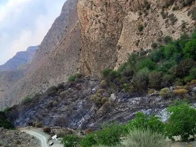 بهشت گمشده در آتش سوخت