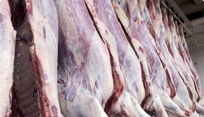 تاثیر حذف ارز ترجیحی بر واردات گوشت