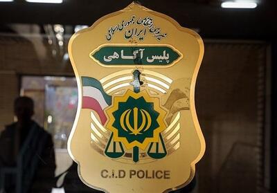 در صورت سرقت، به وسایل دست نزنید و با 110 تماس بگیرید - تسنیم