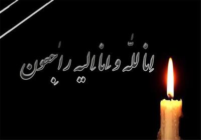 مادر طلبه شهید همدانی به فرزند شهیدش پیوست - تسنیم