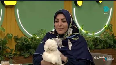 حضور جذاب و متفاوت انواع نژادهای مرغ و خروس زینتی + فیلم