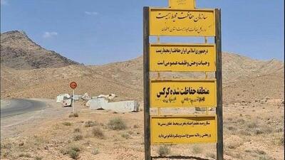 فعالیت معادن در کوه کرکس موجب تعارض بین انسان و حیات وحش شده است
