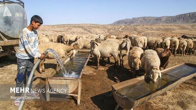 مشکل تامین آب عشایر شهرستان ایوان به زودی رفع می شود