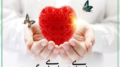 اعضای بدن نیمی از افراد دچار مرگ مغزی استان اردبیل اهدا می‌شود