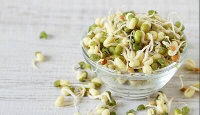 جوانه ماش؛ بمب ویتامین و پروتئین