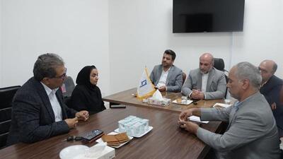 خراسان جنوبی پیشتاز اجرای طرح‌های صندوق اعتباری هنر است