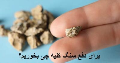 برای دفع سنگ کلیه چی بخوریم؟ میوه های مفید و بهترین دمنوش برای دفع سنگ کلیه