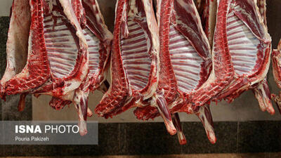افزایش ۱۸ درصدی عرضه گوشت قرمز