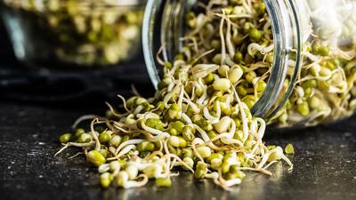 طرز مصرف جوانه ماش و روش تهیه جوانه ماش