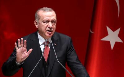 رفتار زشت و عجیب اردوغان با رئیس جمهور فرانسه!