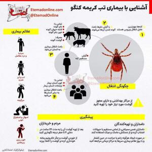 هر آنچه در خصوص بیماری تب خون ریزی دهنده کریمه و کنگو باید بدانیم