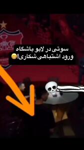 شکاری در لایو پرسپولیس رویت شد!/ آیا انتقال هافبک سپاهان نهایی شده؟ +فیلم
