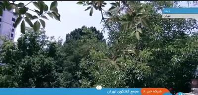 وزیر خارجهٔ طالبان: ایرانی‌ها ۴۰ سال از میلیون‌ها مهاجرِ ما پذیرایی کرده‌اند