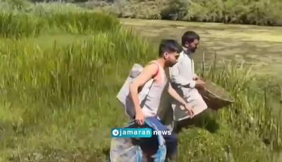 ببینید؛ جشنواره ماهی در کشمیر ھند