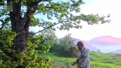 ببینید؛ جدال گراز و پلنگ در منطقه پرور سمنان