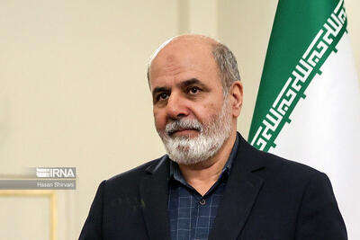 احمدیان: همکاری‌های ایران و هند با قوت ادامه می‌یابد