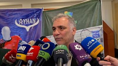 میرشاد ماجدی: تمایلی به خروج تیم هوادار از تهران نداریم
