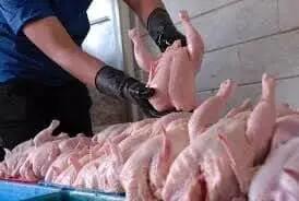 افزایش ٢٤ درصدی تولید گوشت مرغ در فارس