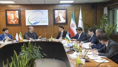 پیشنهاد تشکیل میز دائم همکاری‌های صنعت پتروشیمی ایران و ازبکستان