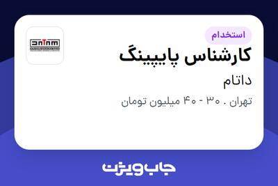 استخدام کارشناس پایپینگ در داتام
