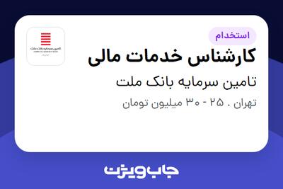 استخدام کارشناس خدمات مالی در تامین سرمایه بانک ملت