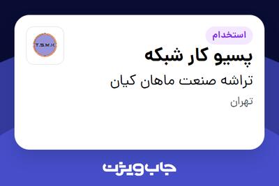 استخدام پسیو کار شبکه در تراشه صنعت ماهان کیان