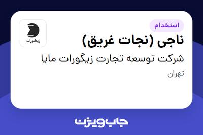 استخدام ناجی (نجات غریق) - آقا در شرکت توسعه تجارت زیگورات مایا
