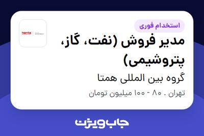 استخدام مدیر فروش (نفت، گاز، پتروشیمی) در گروه بین المللی همتا
