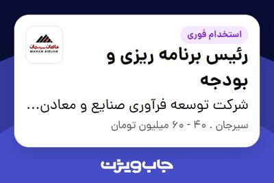 استخدام رئیس برنامه ریزی و بودجه در شرکت توسعه فرآوری صنایع و معادن ماهان سیرجان