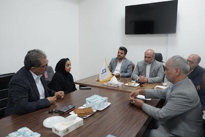 خراسان جنوبی پیشتاز اجرای طرح‌های صندوق اعتباری هنر است