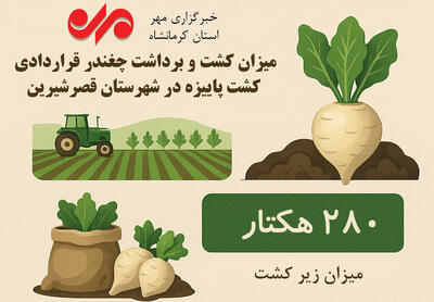 اینفوگرافیک| میزان کشت چغندر قراردادی در شهرستان قصرشیرین