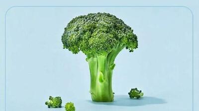 میگنا - نجات از 5 بیماری کشنده با یک سبزی ساده؟!