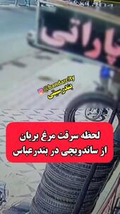 سرقت مرغ سوخاری جنجال آفرید + فیلم