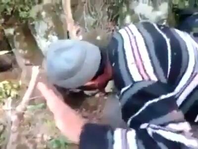 فیلم همکاری سگ در شکار خارپشت