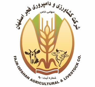 زفجر با مکانیسم حراج ناپیوسته به معاملات بازگشت