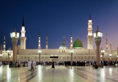 مدینه را جز به زیارت گذراندن خطاست - تسنیم