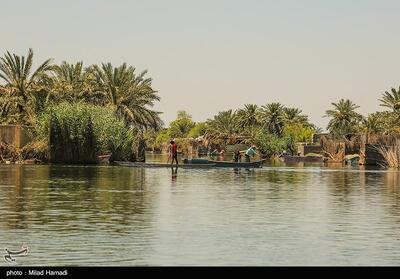 تالاب شادگان در شرایط بحرانی قرار دارد - تسنیم