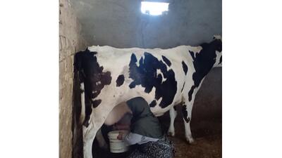 لذت سفر به روستای لوشکان در یک روز بهاری+ فیلم