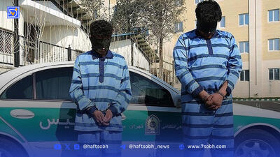 سهم‌الارث سمی | افشای جزئیات جنایت باند عمو برای قتل برادرزاده با ‌استفاده از سم مار افعی
