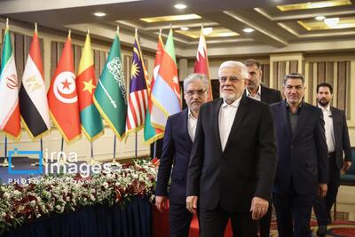 اجلاس علوم و فناوری کشورهای عضو پلتفرم گفت و گو OIC