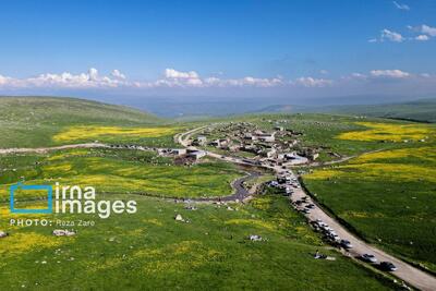 عکس/ طبیعت بهاری دامنه کوه سبلان