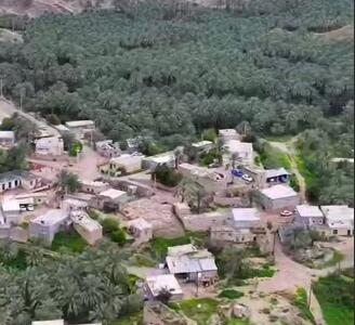 طبیعت زیبا و باور نکردنی روستای جمیله در استان بوشهر