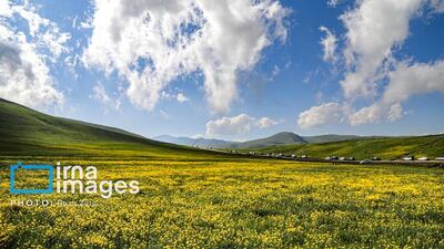 طبیعت بهاری دامنه کوه سبلان