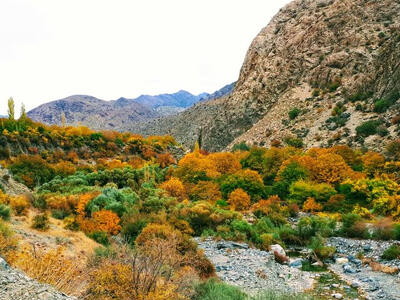 «رمون» در آتش سوخت