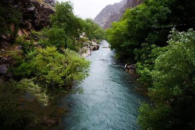طبیعت تماشایی باغ‌های روستای پالنگان (فیلم)