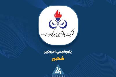 سود خالص «شکبیر» چقدر است؟
