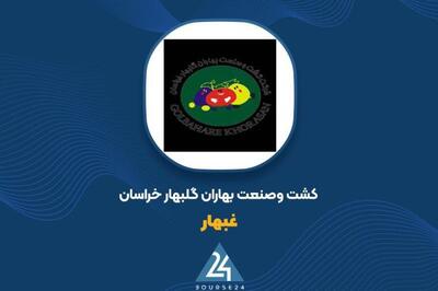 «غبهار» از عملکرد سالانه گزارش داد