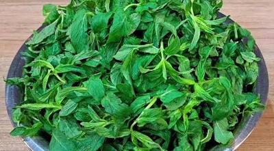طرز تهیه نعناع خشک خانگی بدون چوب و سیاه شدن
