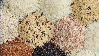 هشدار درباره برنج‌های آلوده؛ رد پای فلزات سمی در همه‌ی نمونه‌های بررسی‌شده